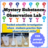 Mystery Substance Science Investigation! Practice Observat