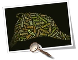 Mystery Vocabulary image for Classroom Decoration Poster or Sign