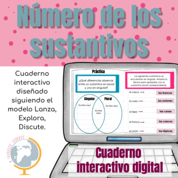 Preview of Número de los sustantivos cuaderno interactivo digital (Nouns in Spanish)