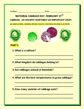 Preview of NATIONAL CABBAGE DAY: FEBRUARY 17th: A CELEBRATION OF AN ANCIENT FOOD!