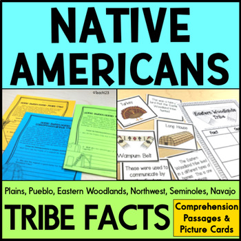 Preview of NATIVE AMERICAN Comprehension Facts Research