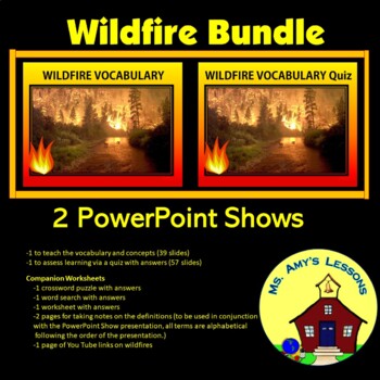 Preview of NATURAL DISASTERS: Wildfire Vocabulary & Quiz Bundled products