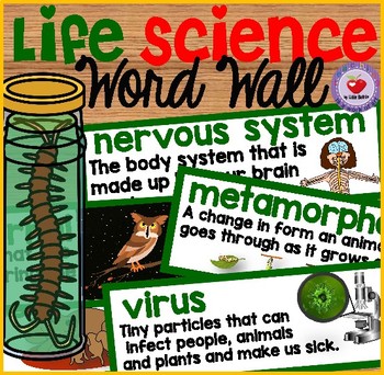 Preview of LIFE SCIENCE WORD WALL