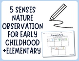 NATURE OBSERVATION - 5 SENSES | Draw something in nature f