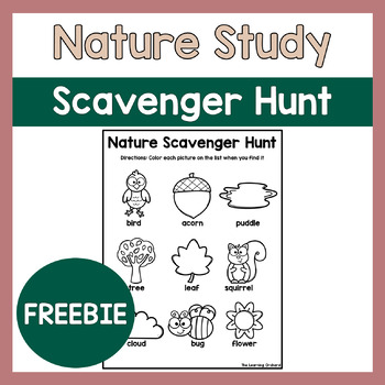 Preview of NATURE STUDY Nature Scavenger hunt for toddler preschool and primary ages
