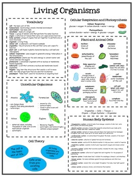 NC 7th Grade Science Reference/Study Sheets | TpT