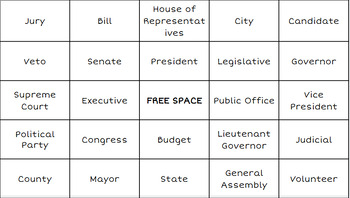Preview of NC Branches of Government Bingo