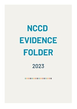 Preview of NCCD Evidence document file