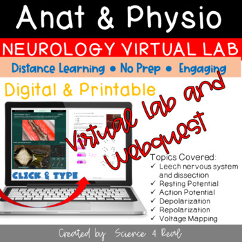 Preview of NERVOUS SYSTEM - Action Potential VIRTUAL LAB & Webquest (Digital/Printable)