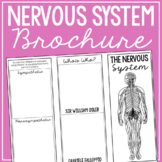 NERVOUS SYSTEM: Anatomy Science Research Project | Vocabul