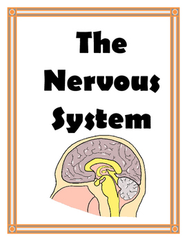Preview of NERVOUS SYSTEM UNIT