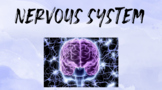 NERVOUS SYSTEM UNIT