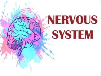 NERVOUS SYSTEM WITH DISORDERS AND DISEASES by Dods' Book Barn | TpT