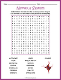THE HUMAN NERVOUS SYSTEM Word Search Worksheet Activity - 