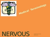 NERVOUS System