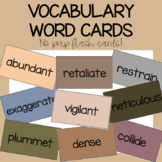 NEUTRAL Themed 250+ Vocabulary Word Flash Cards  NO PREP