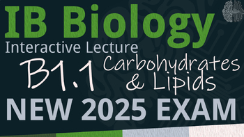 Preview of NEW 2025 IB Biology B1.1 [SL/HL] Carbs & Lipids Interactive Lecture Handout