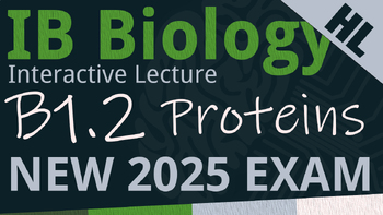 Preview of NEW 2025 IB Biology B1.2 [AHL] Proteins Interactive Lecture Handout