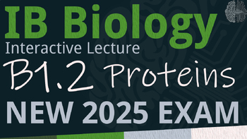 Preview of NEW 2025 IB Biology B1.2 [SL/HL] Proteins Interactive Lecture Handout