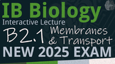 NEW 2025 IB Biology B2.1 [SL/HL] Membranes & Transport Int