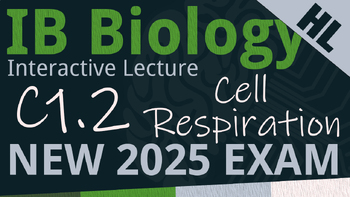Preview of NEW 2025 IB Biology C1.2 [AHL] Cell Respiration Interactive Lecture Handout