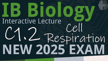 Preview of NEW 2025 IB Biology C1.2 [SL/HL] Cell Respiration Interactive Lecture Handout