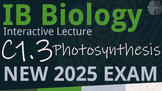 NEW 2025 IB Biology C1.3 [SL/HL] Photosynthesis Interactiv