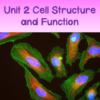 Preview of AP Biology Unit 2: Cell Structure and Function PowerPoint NEW 2019 CED
