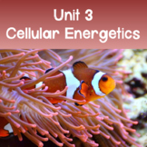 AP Biology Unit 3: Cellular Energetics PowerPoint