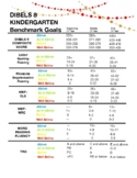 NEW DIBELS 8 Scoring Guide-KINDER