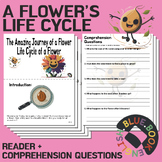 Life Cycle of a Flower Reader | Spring Time Comprehension 