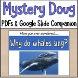 Mystery Doug Science- Why do whales sing?