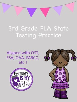 Preview of NEW Nonfiction ELA Test Prep for 3rd Grade Aligned with OST, OAA, PARCC