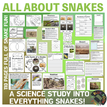 Preview of NEW! Snakes Science | Facts Reader, STEM Project, Craft, Activities, and MORE!