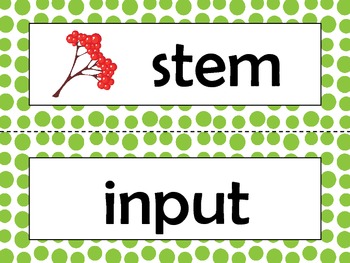 NGSS 1st Grade Science Vocabulary Cards: Structure & Function: Plants