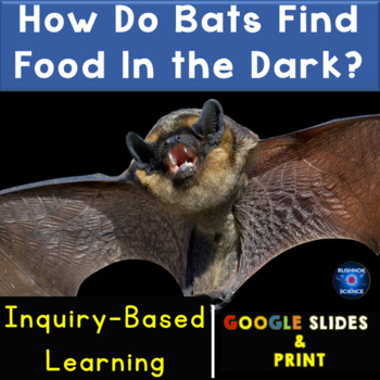 Preview of NGSS 4-PS4-3 Inquiry Based Learning | How Do Bats Find Food in The Dark?