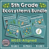 NGSS 5th Grade Energy in Ecosystems BUNDLE