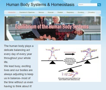 Preview of NGSS Aligned Human Body System Homeostasis Webquest