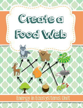 Preview of NGSS 5-LS2-1 and MS-LS2-3 Food Web Worksheet