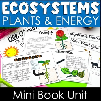 Preview of Plants & Energy Unit | Energy in Plants | Matter in Ecosystems | NGSS Units