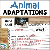 Animal Adaptations Activities for Structure and Function o