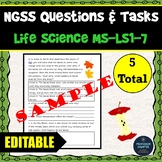 Distance Learning Science NGSS Assessment Tasks MS-LS1-7 Food New Molecules