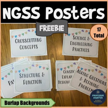 Preview of NGSS Crosscutting Concepts Science Engineering Practices Posters Bulletin Board