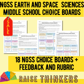 Preview of NGSS Earth and space Sciences Choice Board differentiated projects