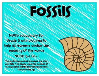 Preview of NGSS-Fossil vocabulary