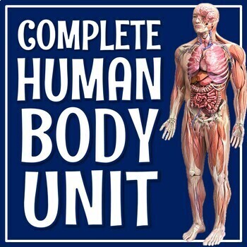 Preview of NGSS Human Body Organ Systems Unit Bundle Activity Lab Worksheet Test Notes