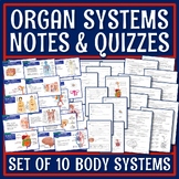 NGSS Human Body Organ Systems Notes and Quizzes Bundle