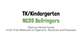 NGSS Kinder Bellringers (K-LS1) - Plant and Animal Needs