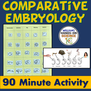 Preview of Comparative Embryology NGSS LS4.A MS-LS4-3 Card Sort CER Reading