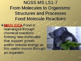 NGSS MS LS1-7 Food Molecules-Molecules to Organisms PowerPoint